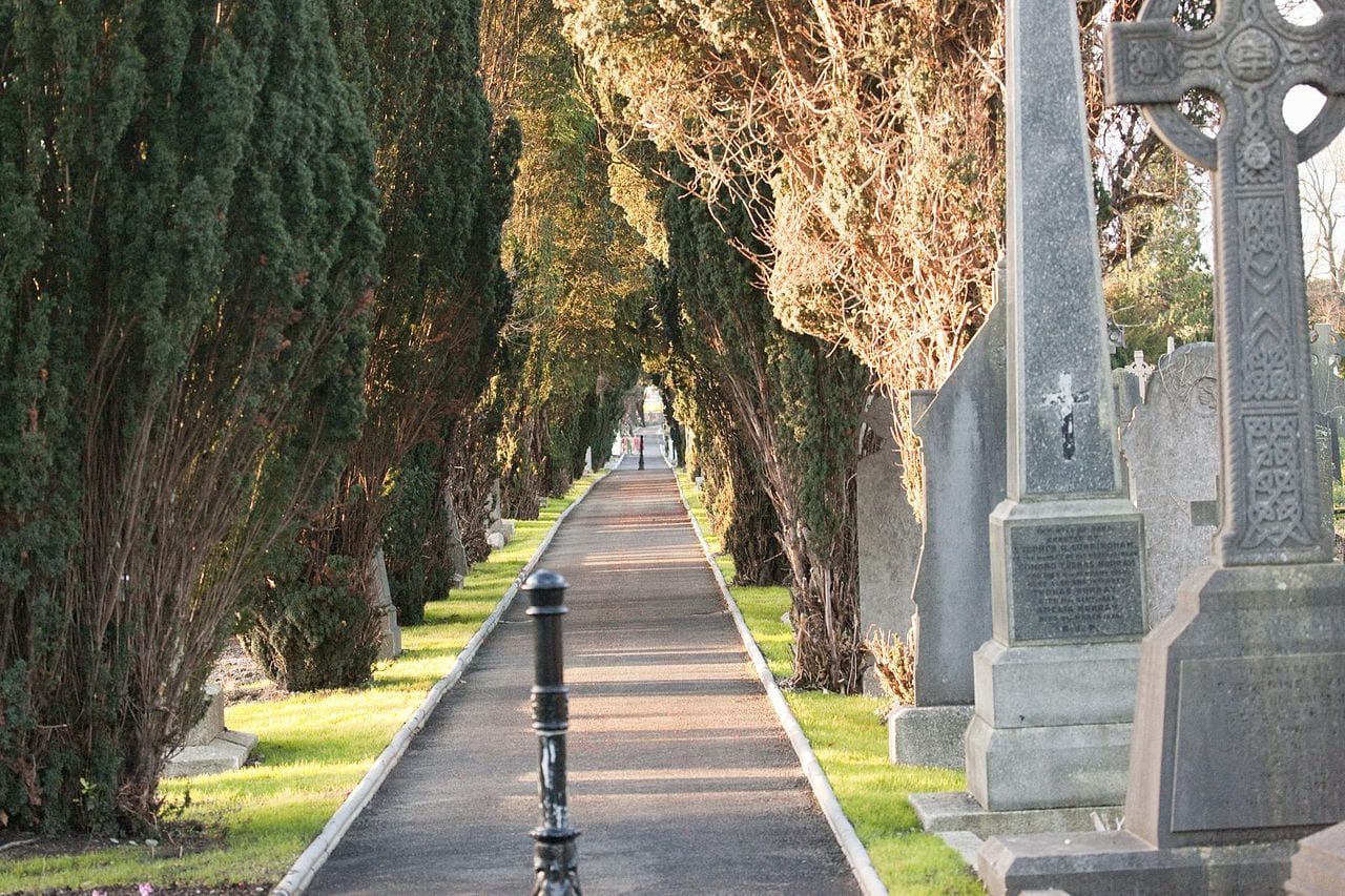 cemetery tour dublin